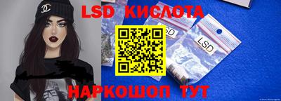 герыч Кингисепп